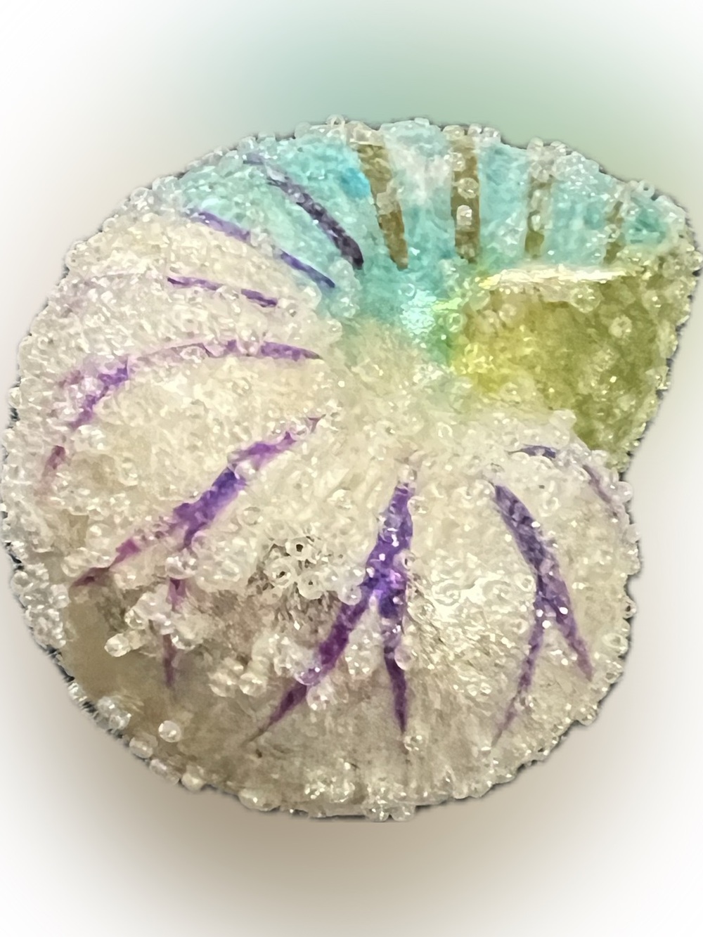 New Glass Nautilus Ombre Shell Blown Glass Christmas Ornament Glitter Beaded - Picture 2 of 6